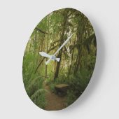 Peaceful Green Forest Trail Washington Grote Klok (Hoek)