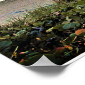 PEACEFUL JEREMIAH 29:11 SCRIPTURE VERSE POSTER (Hoek)