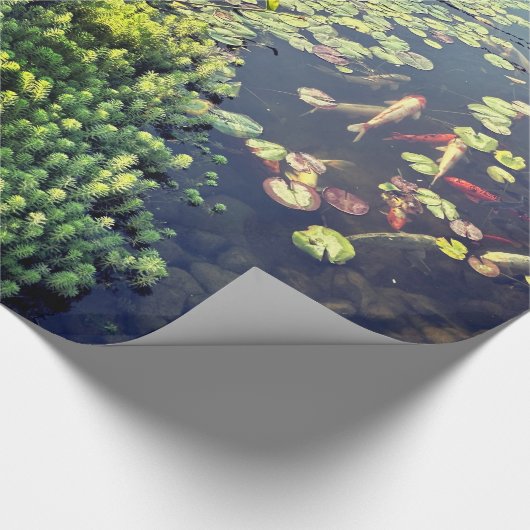 Peaceful Koi Fish Pond Cadeaupapier (Hoek)