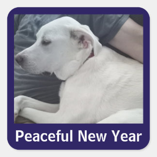 Peaceful New Year Cute Dog Photo with Dad Blue Vierkante Sticker