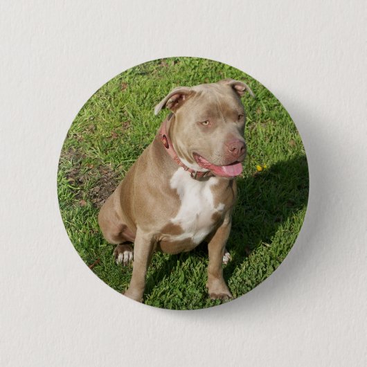 Peaceful Pitbull Ronde Button 5,7 Cm (Voorkant)
