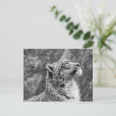 Peaceful Snow Leopard Briefkaart (Staand voorkant)