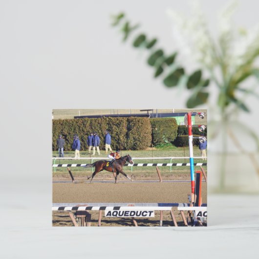 Peaceful Talk Wins on New Year's Day Feestdagenkaart (Staand voorkant)