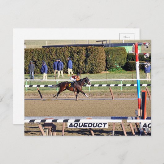 Peaceful Talk Wins on New Year's Day Feestdagenkaart (Voorkant / Achterkant)