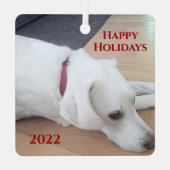 Peaceful White Dog Red Collar Kerstmis Metalen Ornament (Achterkant)