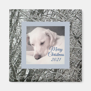 Peaceful White Puppy Dog Snowy Day Kerstmis Magne Magneet