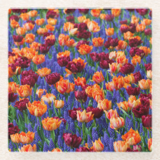 Peach and Red Tulips in Grape Hyacinth Flowers Glazen Onderzetter