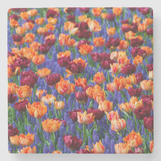 Peach and Red Tulips in Grape Hyacinth Flowers Stenen Onderzetter