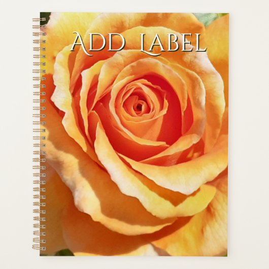 Peach Apricot Rose Planner for teaching wedding (Devant)