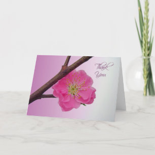 Peach Blossom bedankt