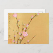 Peach Blossom Briefkaart (Voorkant / Achterkant)