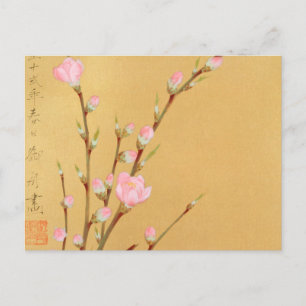 Peach Blossom Briefkaart