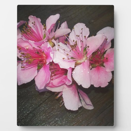 Peach Blossom Fotoplaat (Voorkant)