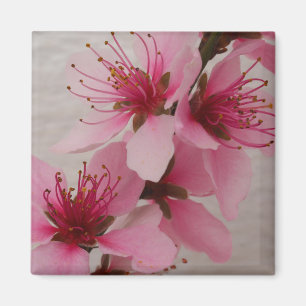 Peach Blossom Fridge Magnet Magneet