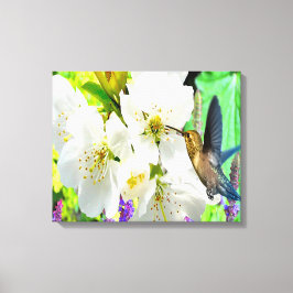 Peach Blossom Hummingbird Canvas Afdruk