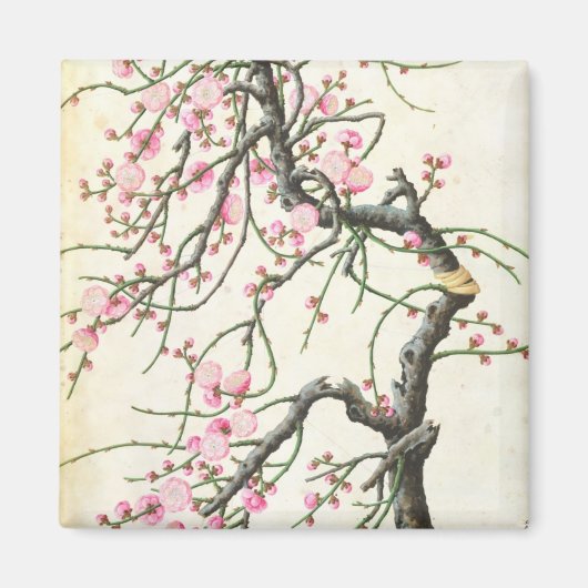 Peach blossom magneet (Voorkant)