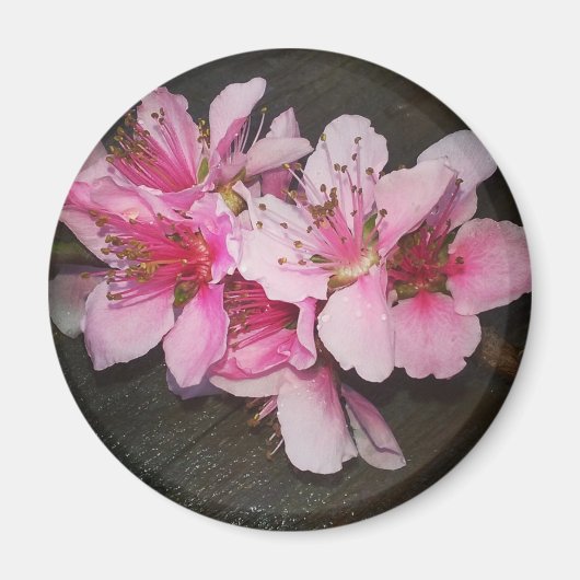 Peach Blossom Magneet (Voorkant)