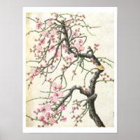 Peach blossom