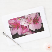 Peach Blossom Rechthoekige Sticker (Envelop)