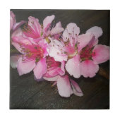 Peach Blossom Tegeltje (Voorkant)