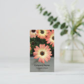 Peach Color African Daisies Visitekaartje (Staand voorkant)