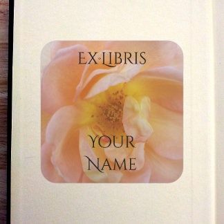 Peach-Colored Rose Bookplate Vierkante Sticker