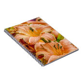 Peach Daylily Notitieboek (Rechterzijde)