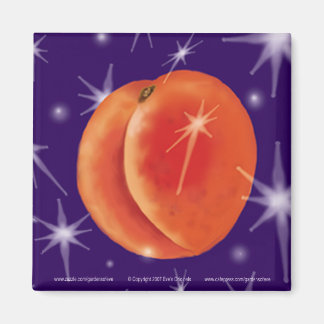 PEACH DREAMS SQ Magnet Magneet