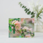 Peach Flower Quince Merci Carte postale (Debout devant)
