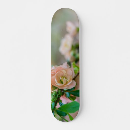 Peach Flowering Quince Skateboard (Voorkant)