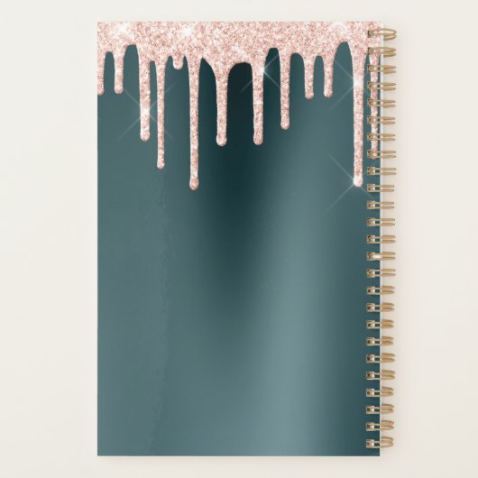 Peach Glitter Drift on Hunter Green Planner (Achterkant)