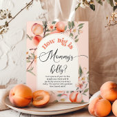 Peach hoe groot is mama's buik spel poster