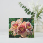 Peach Oriental Lily Flowers Briefkaart (Staand voorkant)