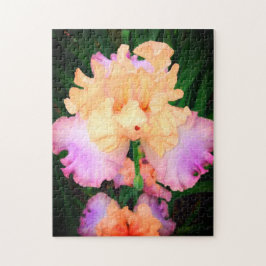 Peach & Paars Iris Legpuzzel