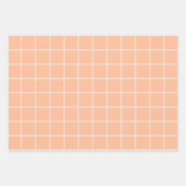 Peach pastel minimalistische check lijn wervelpatr inpakpapier vel (Voorkant 2)