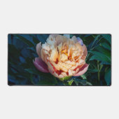 Peach Peony, Flower Photography (Recto)