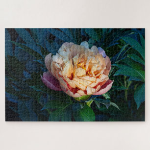 Peach Peony - Romantische bloemenfotografie Legpuzzel