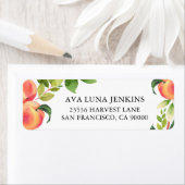 Peach Return Address Labels (Insitu)