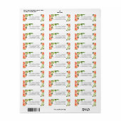 Peach Return Address Labels (Full Sheet)