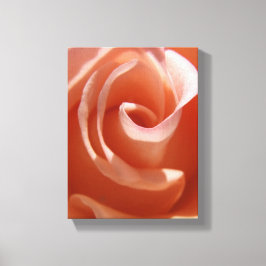 Peach Roos Canvas