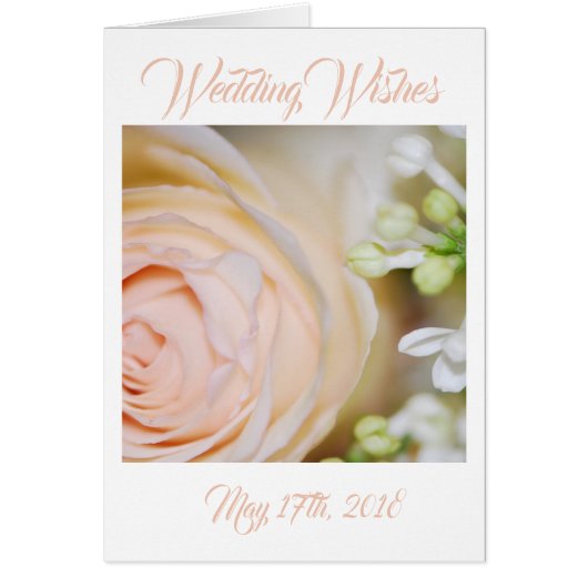 Peach Roos en Lilacs (Voorkant)