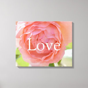  Peach Roos Liefde Canvas Afdruk
