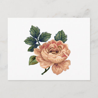 Peach Roos -  Makover. Briefkaart