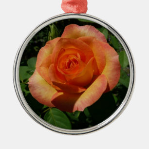 Peach Roos Oranje Floral fotografie Metalen Ornament