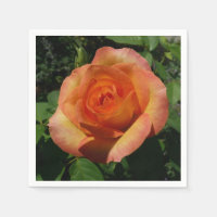 Peach Roos Oranje Floral fotografie