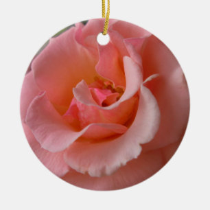 Peach Roos Ornament Romantic Roos Decoraties