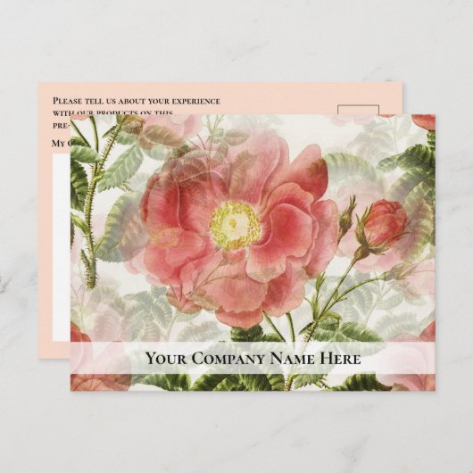 Peach Rose Business Survey Feedback Carte postale (Devant / Derrière)