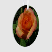 Peach Rose Orange Floral Photographie (devant)