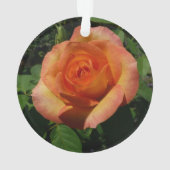 Peach Rose Orange Floral Photographie (dos)
