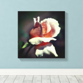 Peach rosebud Flower Close Canvas Afdruk (Insitu (Houten vloer))